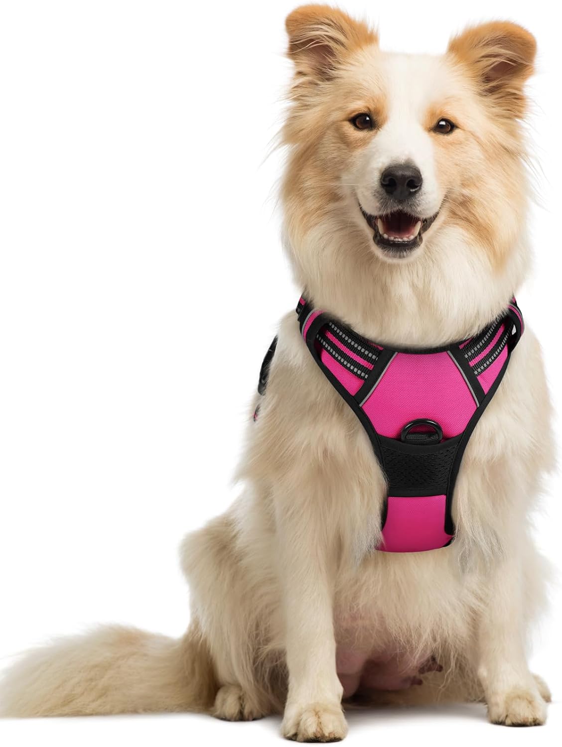 rabbitgoo No-Pull Dog Harness