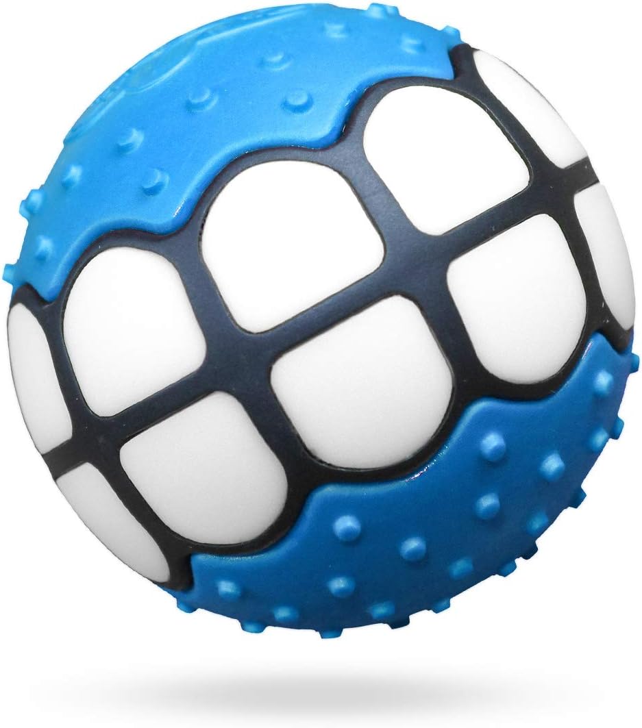 Dawg Grillz Squeaky Fetch Ball