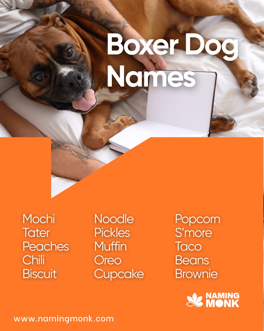 Built for action and endless play! Boxer breed is famous for athletic prowess and high energy levels. Perfect name should match a fast-paced lifestyle and powerful build. What are some top-tier names for a sporty companion? ⚡

To browse our full collection of high-energy name ideas, click the link in our bio!

#dognames #dognameideas #puppynames #newpuppy #dogsoﬁnstagram #instadog #doglover🐶 #puppylovers #boxerdog #boxerpuppy #boxergram #boxerlife #workingdog #athleticdog #nameinspo #dogcommunity #namemydog #puppylife #boxersofinstagramboxersofig #dogcare #namingmonk