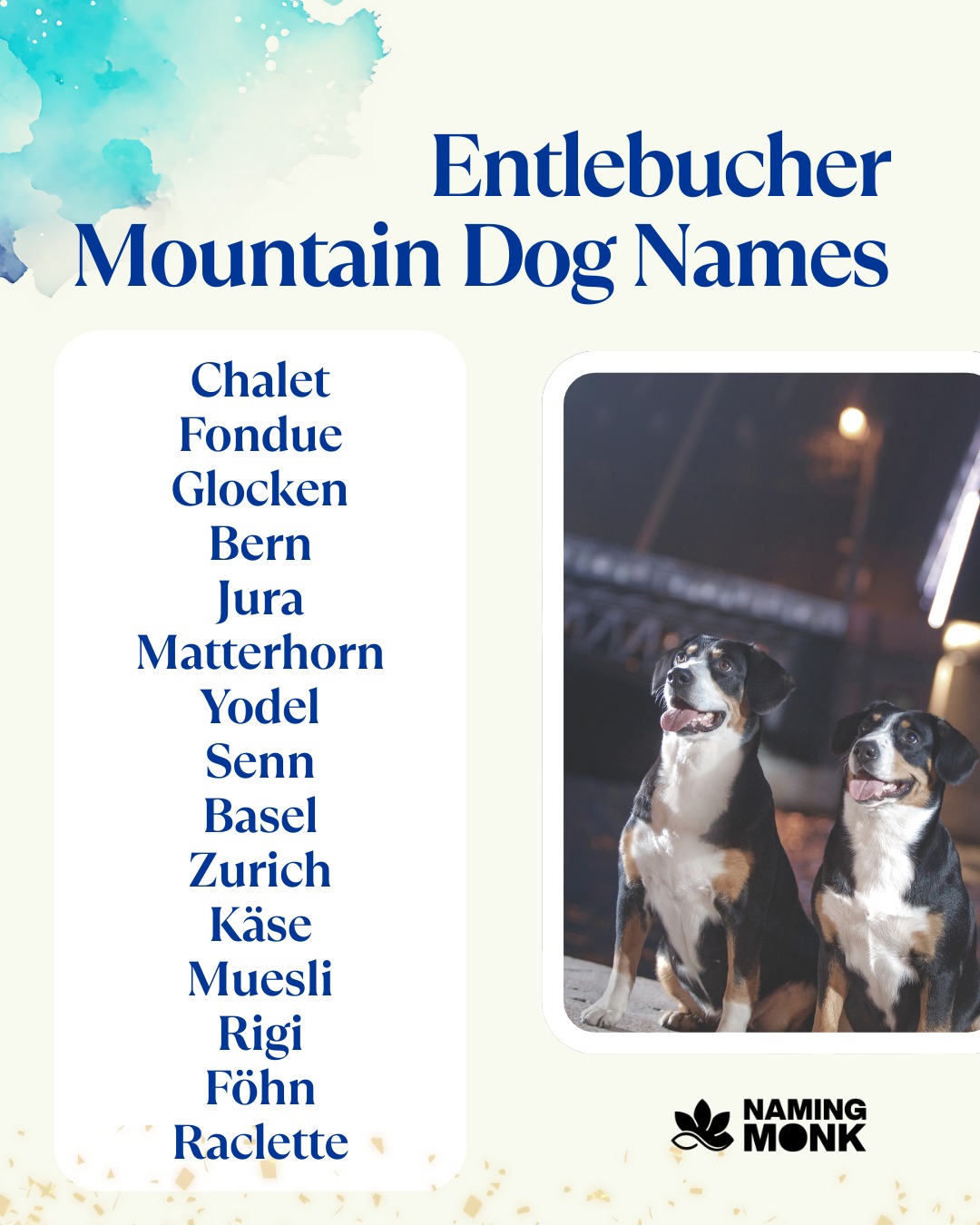 🐾 Struggling to name your Entlebucher Mountain Dog? Here are a few favorites to get you started:
🏔️ Alpine — for the mountain soul
⚡ Blitz — for the speedy herder
🌸 Heidi — Swiss & timeless
🔥 Ember — for the fiery personality
🌊 Zurich — for the Swiss heritage lover

👉 Want 100+ more ideas? Link in bio!
Which one's your fave? Comment below! 👇😄

#EntlebucherMountainDog #entlebuchermountaindog #entlebucher #dognames 
#puppynames #swissdogs #mountaindog #rarebreeds #herdingdogs 
#dognamingideas #newpuppy #dogloversofinstagram #dogmomlife #dogdad 
#petnaming #uniquedogsofinstagram #dogbreeds #bestdognames 
#swissalps #tricolordog #dogoftheday #instadog #dogcommunity 
#puppylovers #furbaby #namingmonk