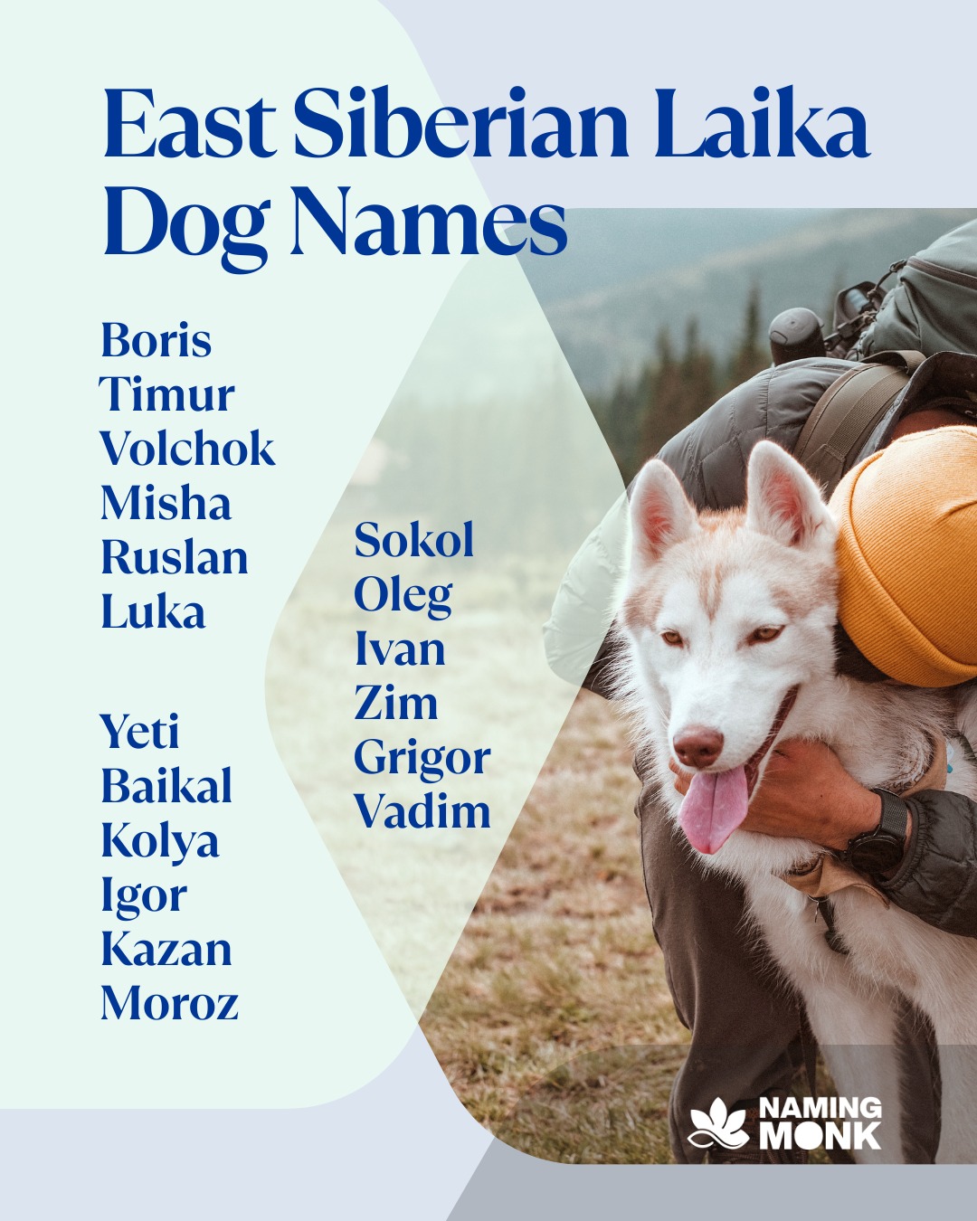 🐾 Naming your East Siberian Laika? Here are some top picks to get you started:

❄️ Taiga — for the forest wanderer 🌌 Aurora — for the northern lights lover 🐺 Misha — a classic Russian favorite 🌨️ Blizzard — for the unstoppable spirit 🏔️ Glacier — for the ice-cold adventurer ⭐ Sasha — timeless & strong

👉 Want 100+ more ideas? Link in bio!

Which one's your fave? Comment below! 👇😄

#eastsiberianlaika #siberianlaika #laikadog #dognames #puppynames 
#russiandogs #siberiandogs #huntingdogs #rarebreeds #nordicdogs 
#dognamingideas #newpuppy #dogloversofinstagram #dogmomlife #dogdad 
#petnaming #arcticdogs #sleddogs #dogbreeds #bestdognames 
#wilddogs #dogoftheday #instadog #dogcommunity #puppylovers #namingmonk