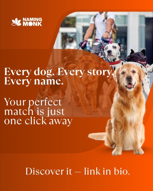 Still deciding? We've got hundreds of ideas for every breed, size & personality. 🐕✨ The perfect name is one scroll away. 🔗 Check it out — link in bio. What's on your shortlist? 👇🐾

#dognamesuggestions #puppynames #dognamingideas #newpuppy #dogloversofinstagram 
#dogmom #dogdadsofinstagram #petnaming #bestdognames #cutedognames 
#funnydogmemes #uniquedognames #populardognames #dogbreeds 
#puppylovers #furbabylove #dogoftheday #instadog #dogcommunity 
#adoptdontshop #rescuedog #newdogowner #doglifestyle #petlovers 
#dogobsessed #namingmonk