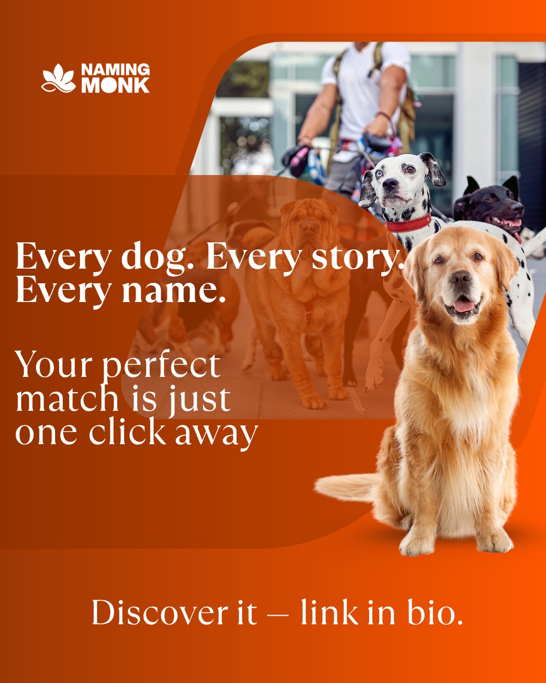 Still deciding? We've got hundreds of ideas for every breed, size & personality. 🐕✨ The perfect name is one scroll away. 🔗 Check it out — link in bio. What's on your shortlist? 👇🐾

#dognamesuggestions #puppynames #dognamingideas #newpuppy #dogloversofinstagram 
#dogmom #dogdadsofinstagram #petnaming #bestdognames #cutedognames 
#funnydogmemes #uniquedognames #populardognames #dogbreeds 
#puppylovers #furbabylove #dogoftheday #instadog #dogcommunity 
#adoptdontshop #rescuedog #newdogowner #doglifestyle #petlovers 
#dogobsessed #namingmonk