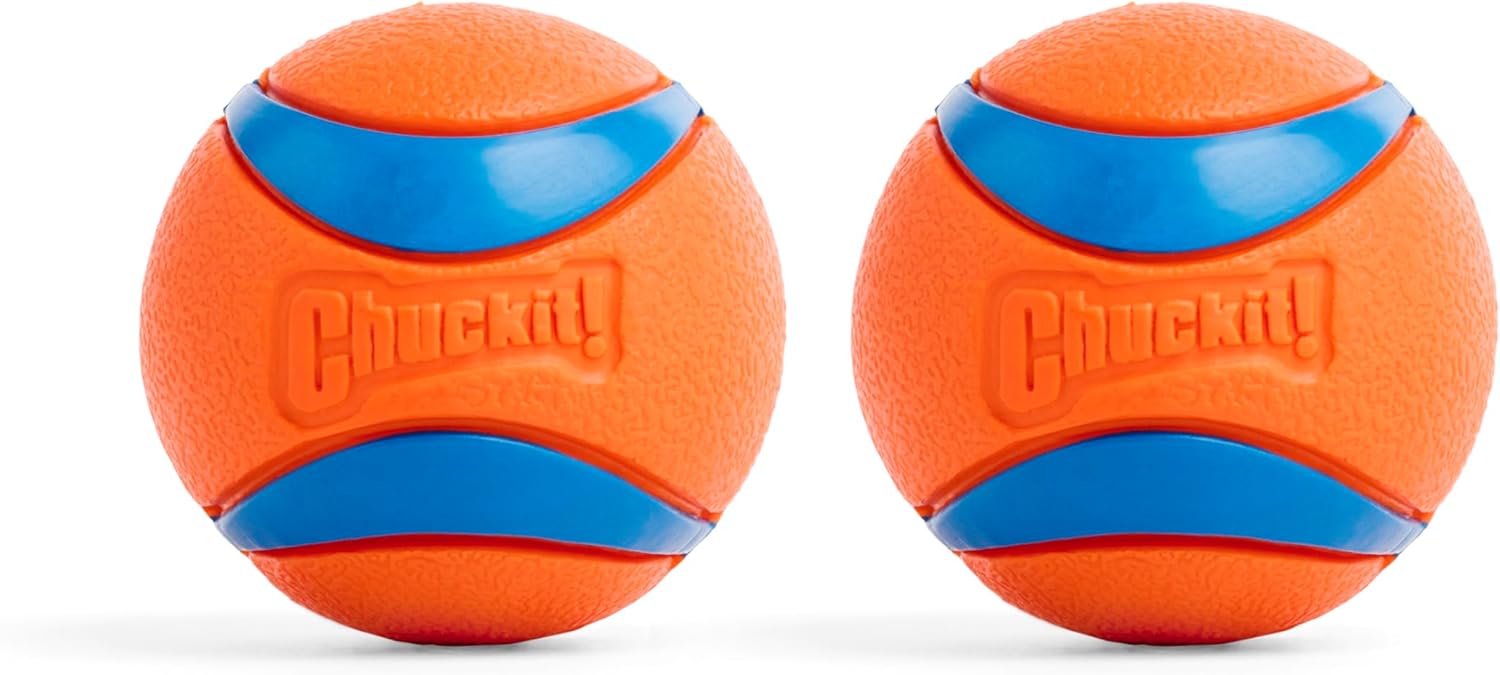 Chuckit! Ultra Ball Fetch Toy