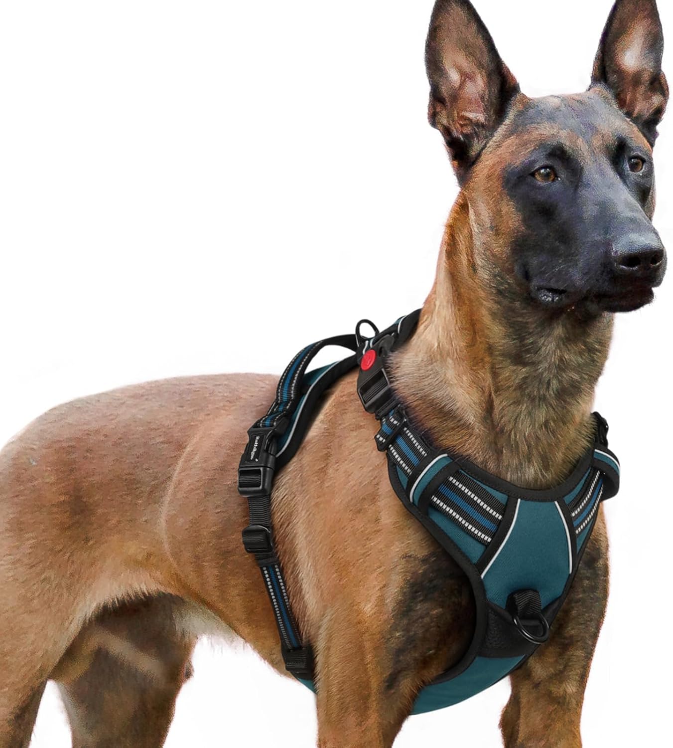 rabbitgoo Large No-Pull Dog Harness