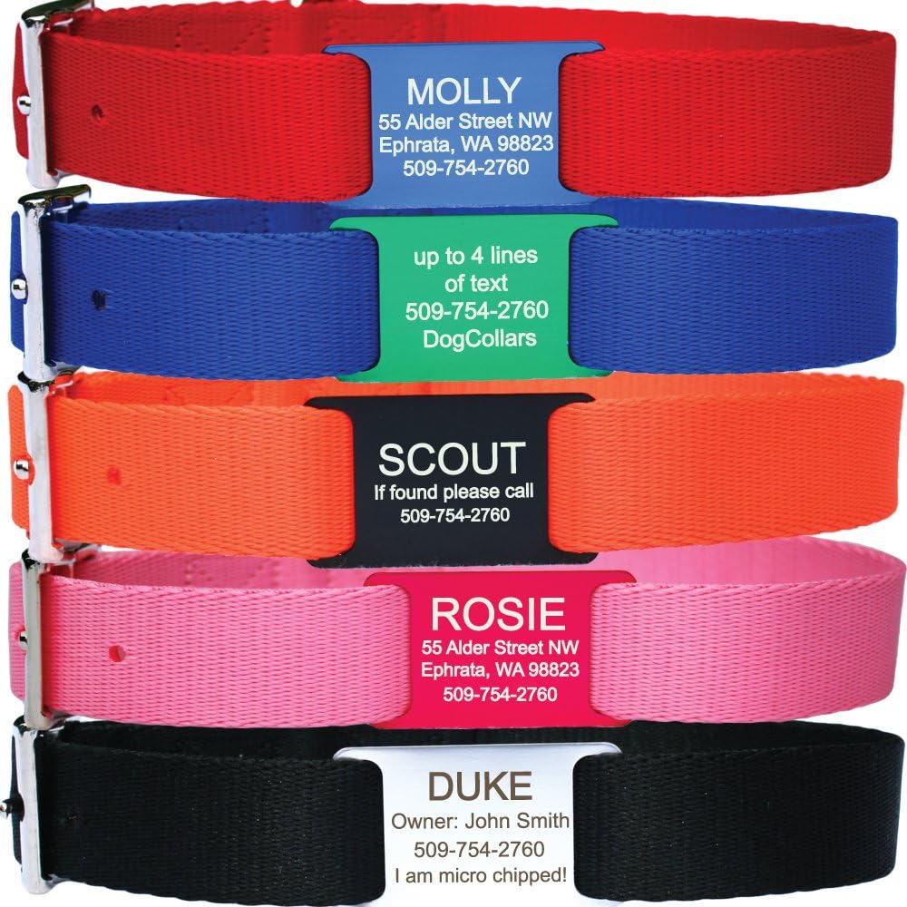 GoTags Slide-On ID Dog Collar