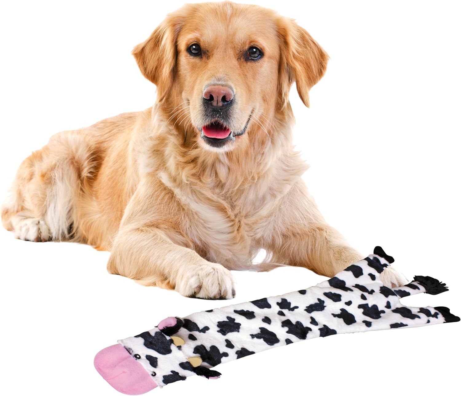 Caroline’s Treasures Cattle Dog Garden Flag