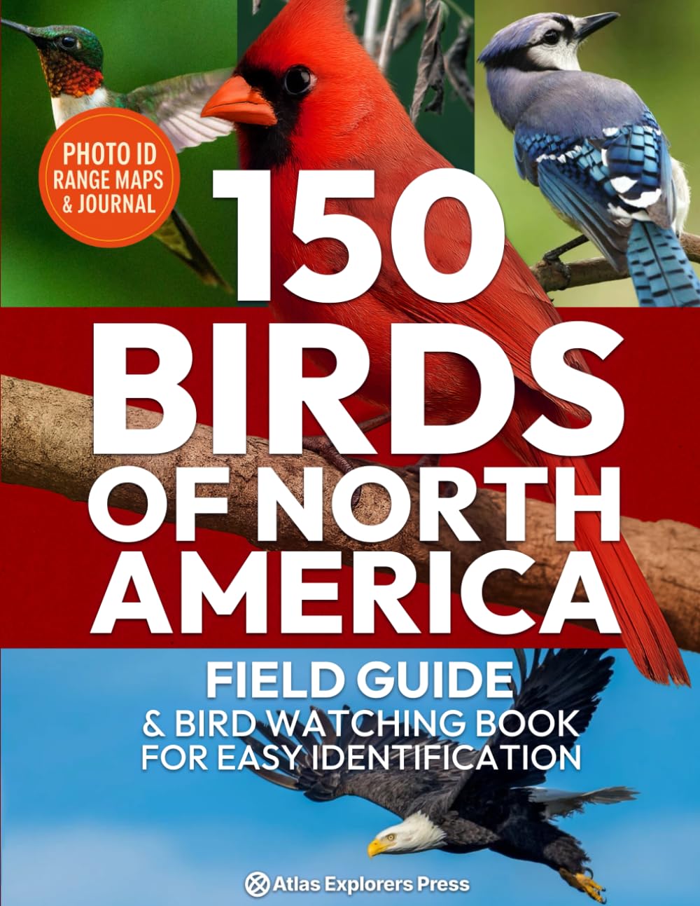 150 Birds of North America Field Guide