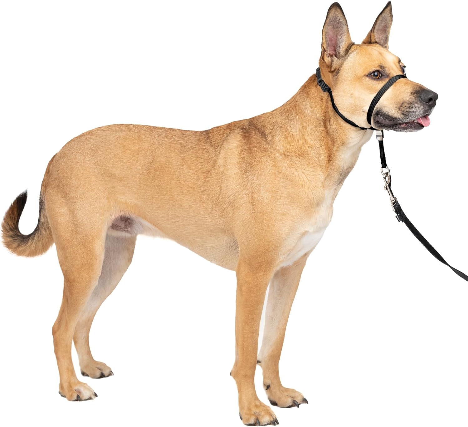 PetSafe Gentle Leader Headcollar