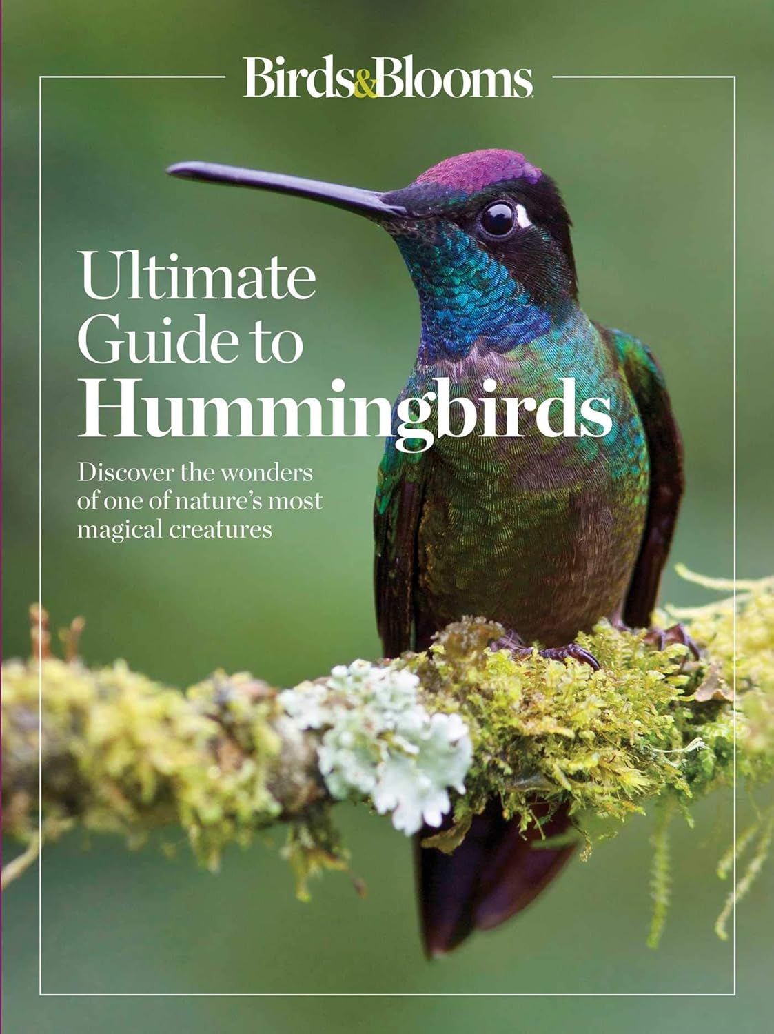 Birds & Blooms Hummingbird Guide
