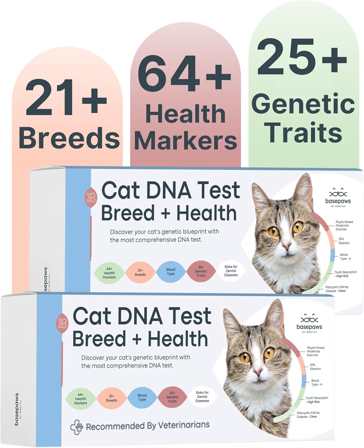 Basepaws Cat DNA Test Kit
