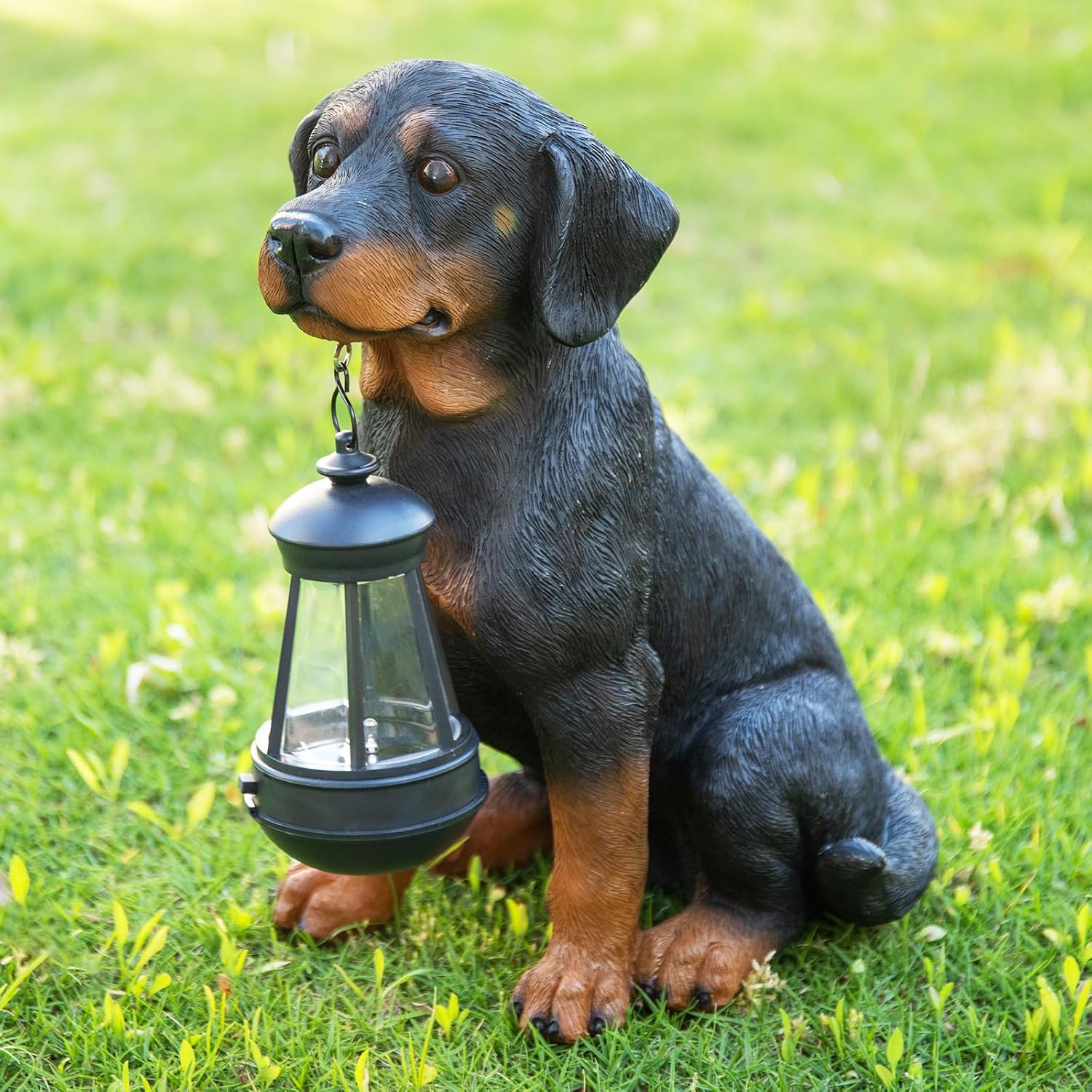 Solar Rottweiler Garden Statue