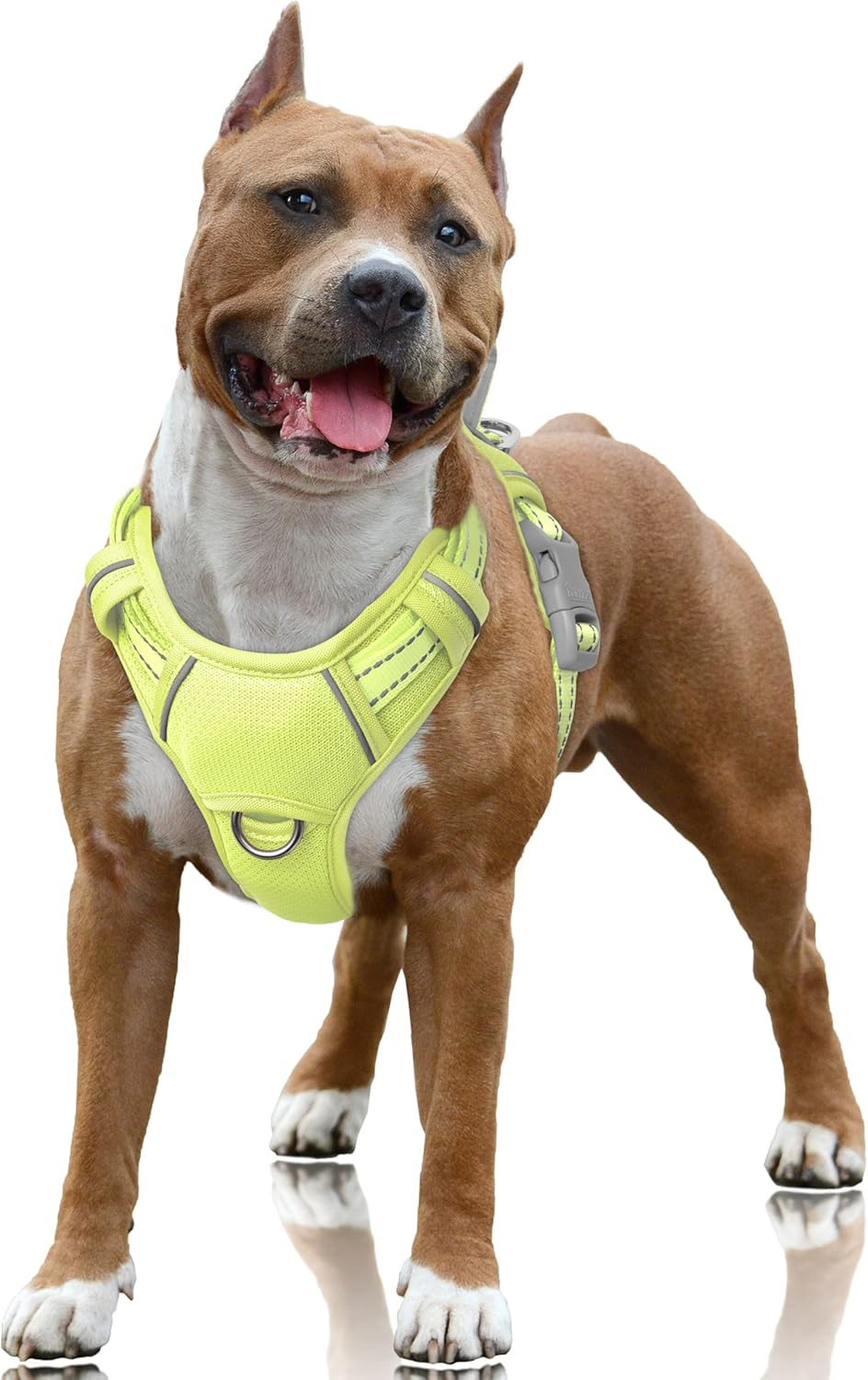 BARKBAY Reflective No-Pull Harness