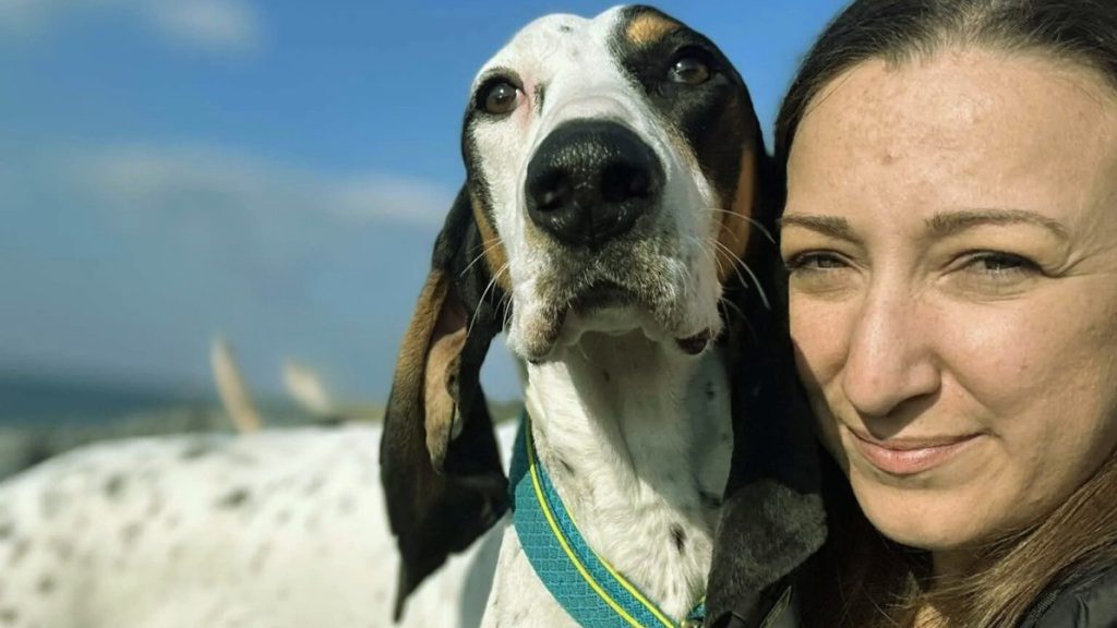 Close-up of Ariegeois Dog with white and black fur and teal collar looking at camera beside friendly woman with brown hair.
