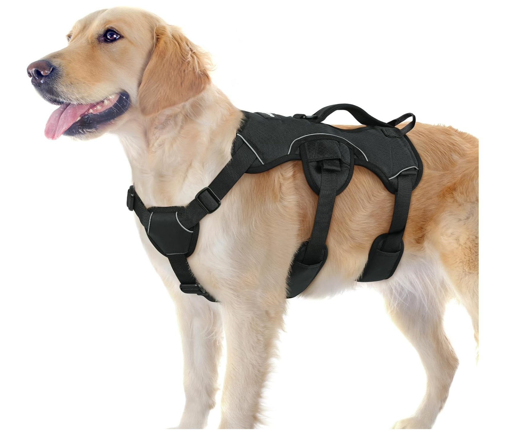 Rabbitgoo Escape Proof Dog Harness, Large